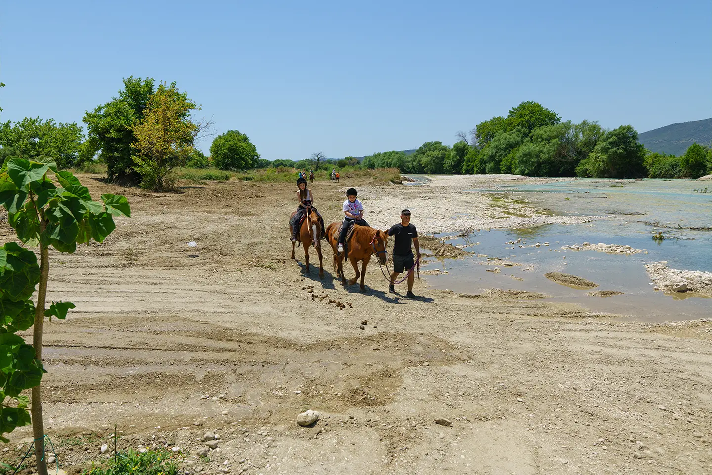 riverdream ιππασία αχέροντας 16