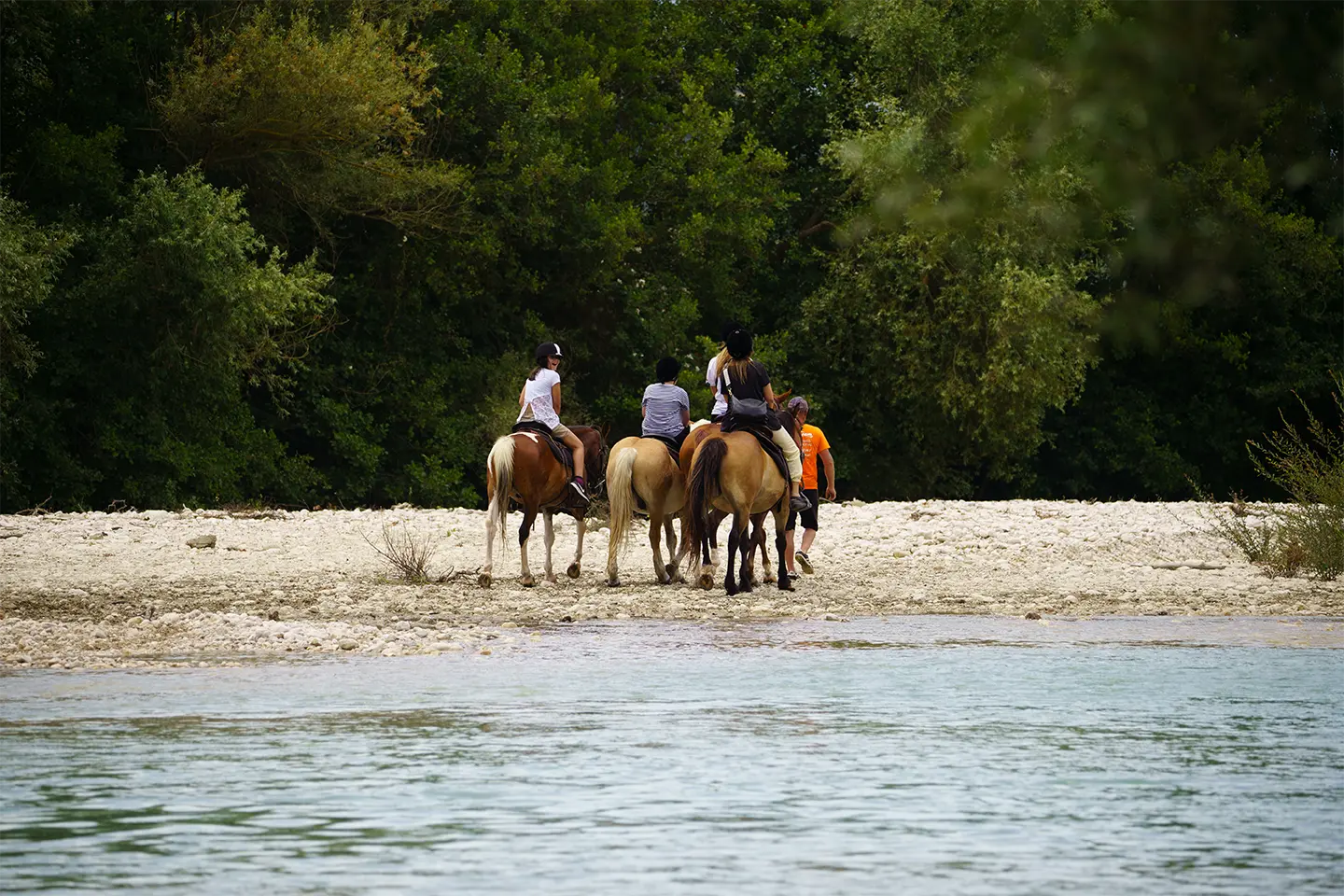 riverdream ιππασία αχέροντας 25
