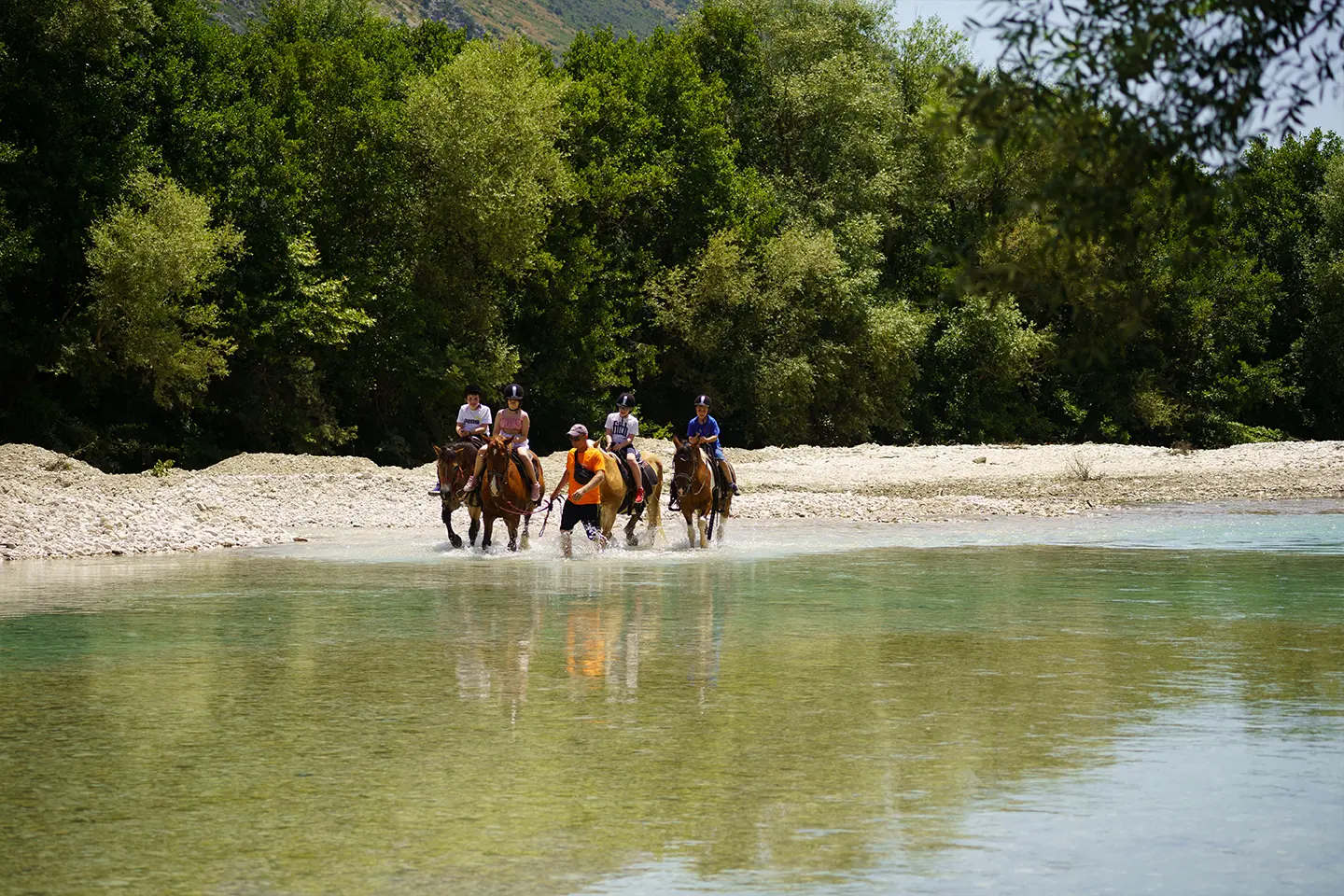 riverdream ιππασία αχέροντας 32